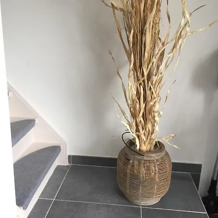 Les Terrasses De Duplex 420 말메디